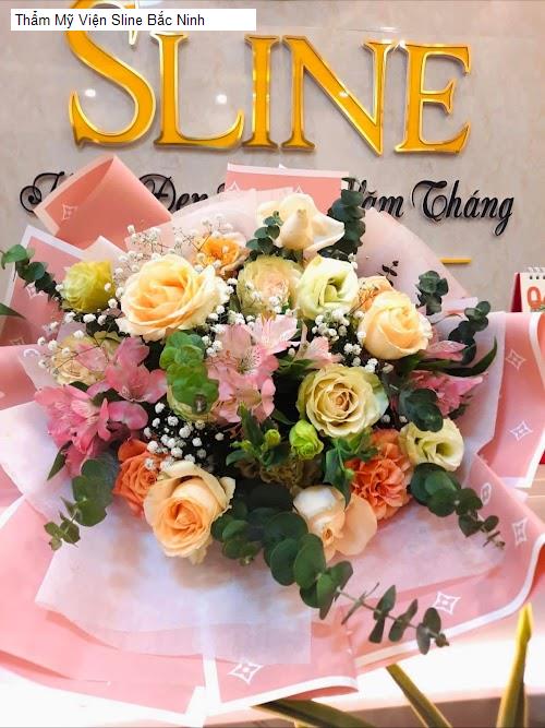 Hình ảnh Thẩm Mỹ Viện Sline Bắc Ninh